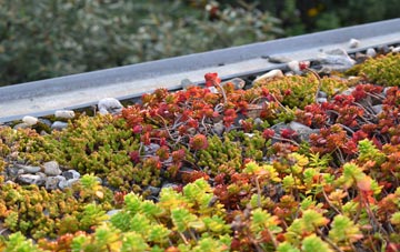 the cost of Staithes green roof installation