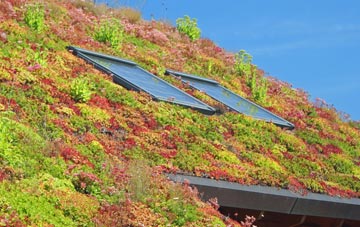 Staithes living roof systems